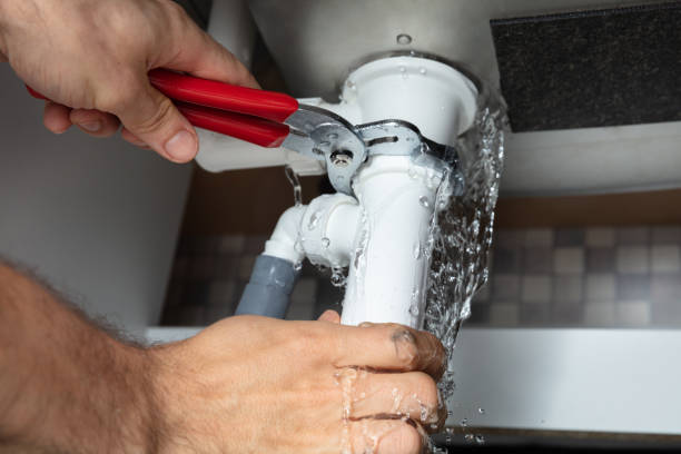 Best Flood restoration services  in Lake Lure, NC