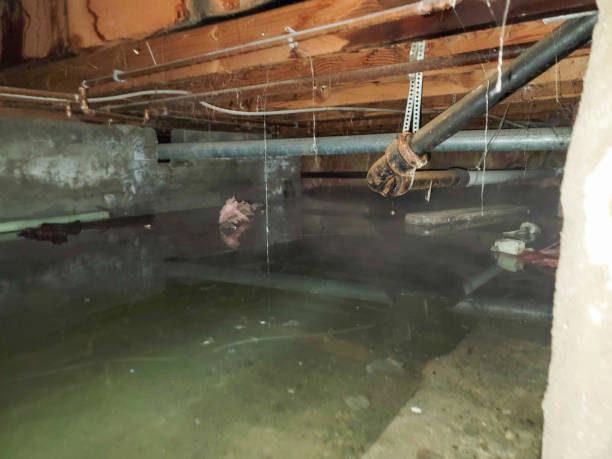 Best 24/7 water damage repair  in Lake Lure, NC
