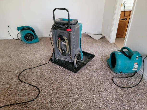 Best Sewage cleanup and water damage restoration  in Lake Lure, NC
