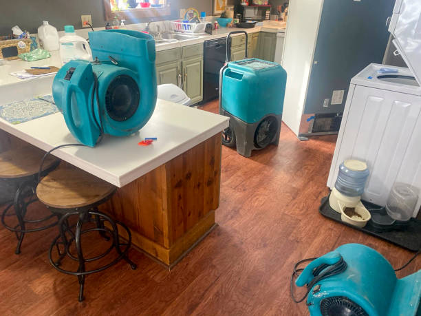 Best Mold removal after water damage  in Lake Lure, NC