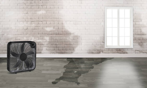 Best Residential water damage restoration  in Lake Lure, NC