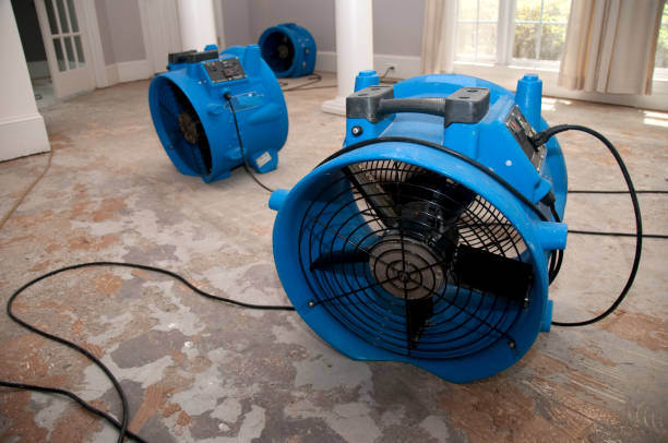 Best Carpet water damage restoration  in Lake Lure, NC