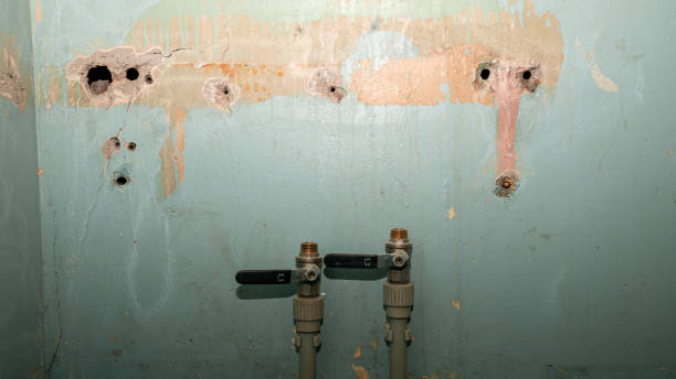 Best Water damage contractors near me  in Lake Lure, NC