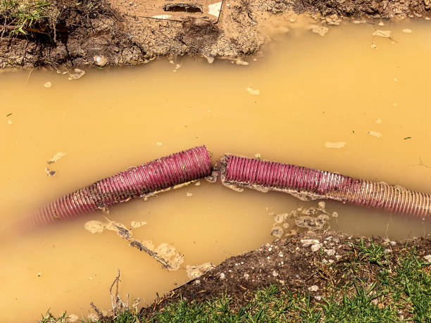Best Water damage restoration near me  in Lake Lure, NC