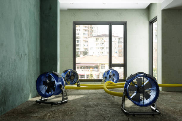 Best Emergency water damage restoration  in Lake Lure, NC